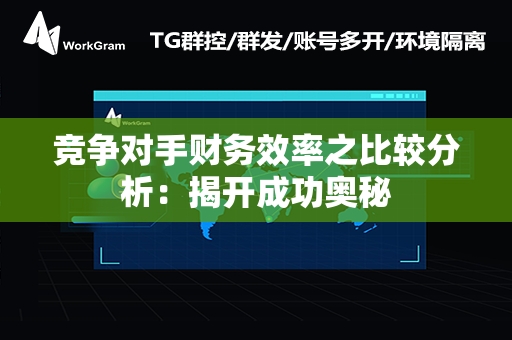 竞争对手财务效率之比较分析：揭开成功奥秘