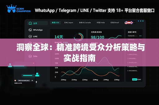  洞察全球：精准跨境受众分析策略与实战指南