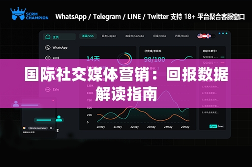 国际社交媒体营销：回报数据解读指南