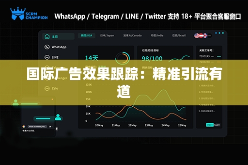 国际广告效果跟踪：精准引流有道