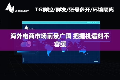 海外电商市场前景广阔 把握机遇刻不容缓