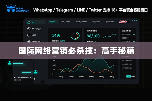 国际网络营销必杀技：高手秘籍