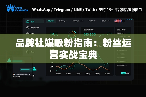 品牌社媒吸粉指南：粉丝运营实战宝典