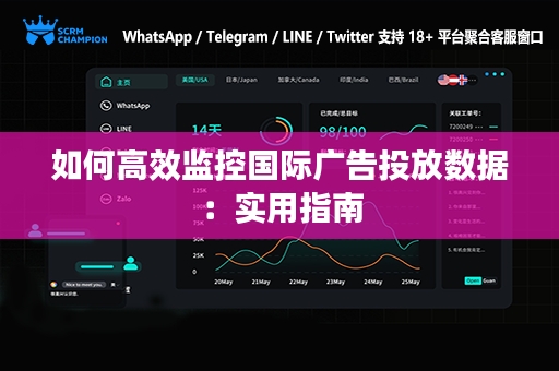 如何高效监控国际广告投放数据：实用指南
