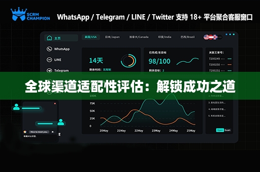 全球渠道适配性评估：解锁成功之道