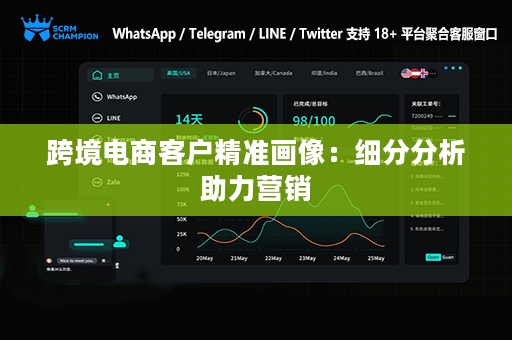 跨境电商客户精准画像：细分分析助力营销