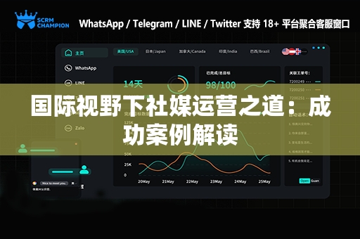 国际视野下社媒运营之道：成功案例解读
