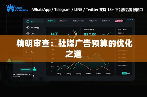  精明审查：社媒广告预算的优化之道