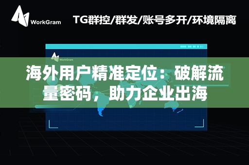 海外用户精准定位：破解流量密码，助力企业出海