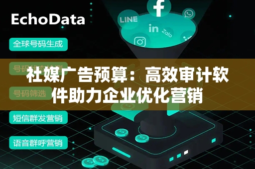 社媒广告预算：高效审计软件助力企业优化营销