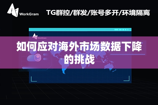 如何应对海外市场数据下降的挑战