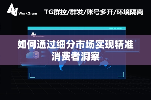 如何通过细分市场实现精准消费者洞察