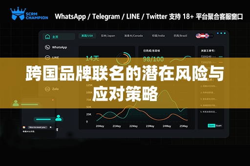 跨国品牌联名的潜在风险与应对策略