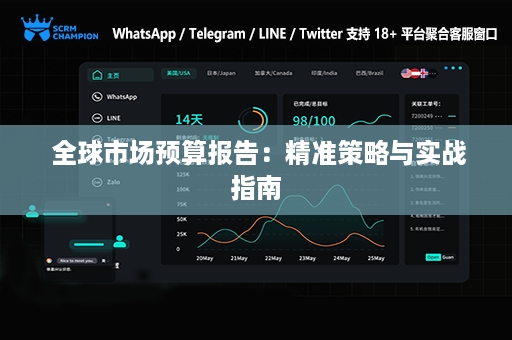  全球市场预算报告：精准策略与实战指南