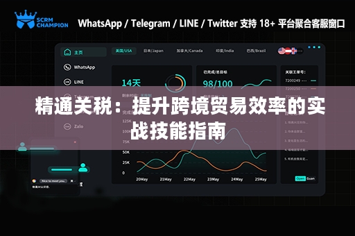  精通关税：提升跨境贸易效率的实战技能指南