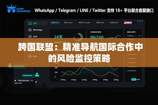  跨国联盟：精准导航国际合作中的风险监控策略
