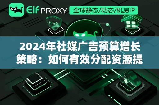 2024年社媒广告预算增长策略：如何有效分配资源提升ROI