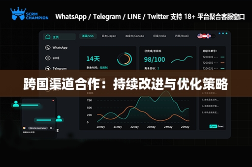 跨国渠道合作：持续改进与优化策略