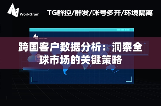 跨国客户数据分析：洞察全球市场的关键策略