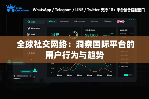  全球社交网络：洞察国际平台的用户行为与趋势