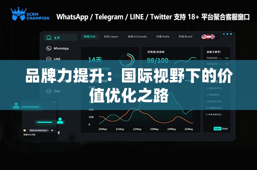 品牌力提升：国际视野下的价值优化之路