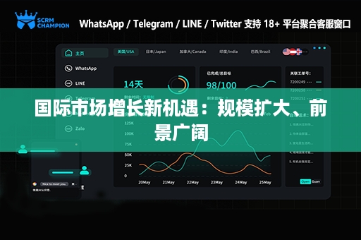 国际市场增长新机遇：规模扩大、前景广阔