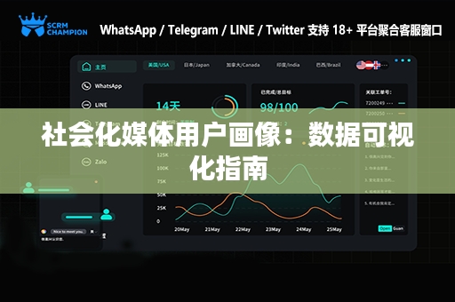 社会化媒体用户画像：数据可视化指南