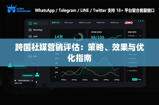 跨国社媒营销评估：策略、效果与优化指南