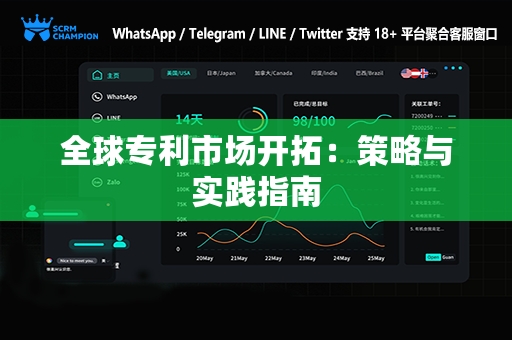全球专利市场开拓：策略与实践指南