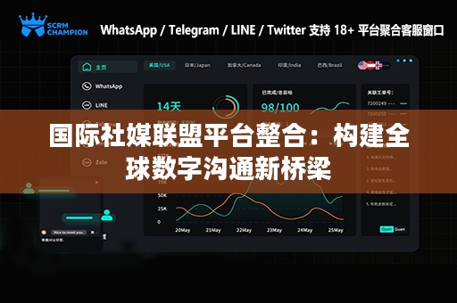 国际社媒联盟平台整合：构建全球数字沟通新桥梁