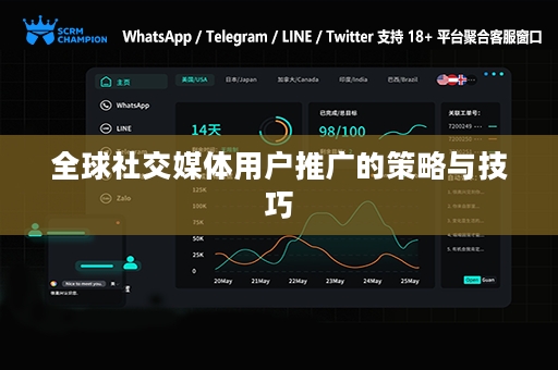全球社交媒体用户推广的策略与技巧
