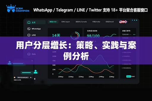 用户分层增长：策略、实践与案例分析