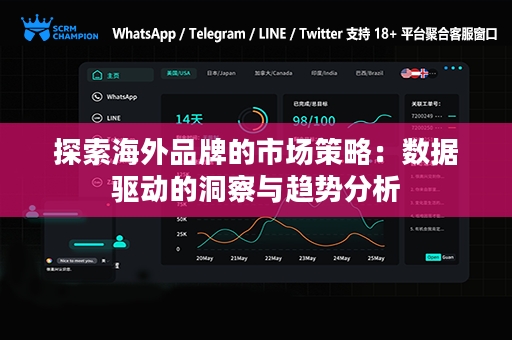 探索海外品牌的市场策略：数据驱动的洞察与趋势分析