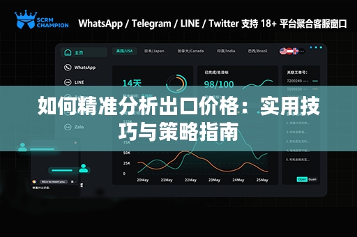 如何精准分析出口价格：实用技巧与策略指南