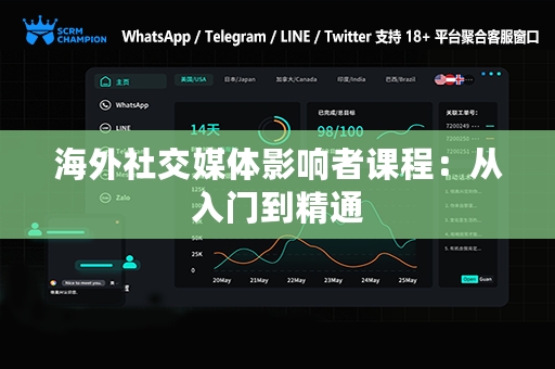 海外社交媒体影响者课程：从入门到精通