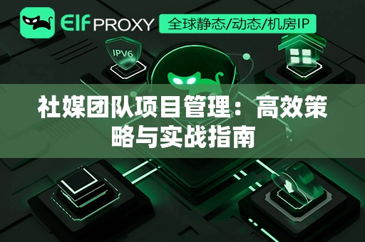 社媒团队项目管理：高效策略与实战指南