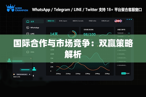 国际合作与市场竞争：双赢策略解析