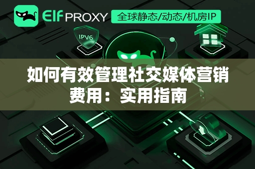 如何有效管理社交媒体营销费用：实用指南