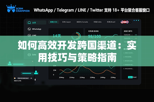 如何高效开发跨国渠道：实用技巧与策略指南