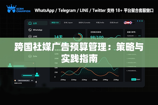 跨国社媒广告预算管理：策略与实践指南