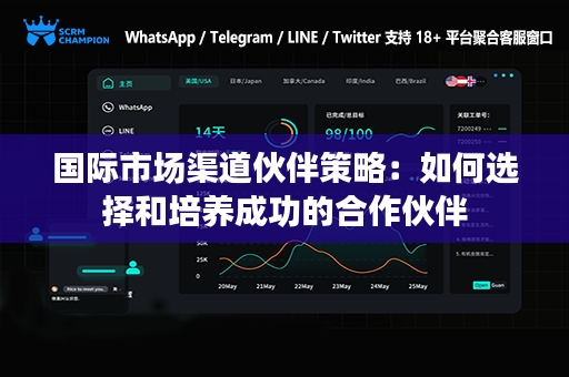 国际市场渠道伙伴策略：如何选择和培养成功的合作伙伴