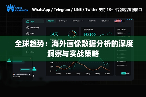  全球趋势：海外画像数据分析的深度洞察与实战策略