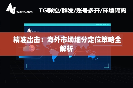  精准出击：海外市场细分定位策略全解析