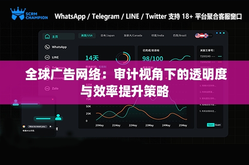  全球广告网络：审计视角下的透明度与效率提升策略