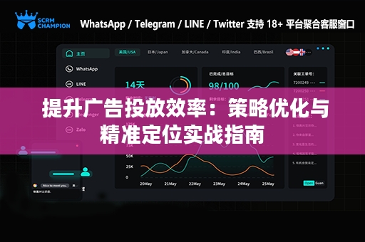  提升广告投放效率：策略优化与精准定位实战指南