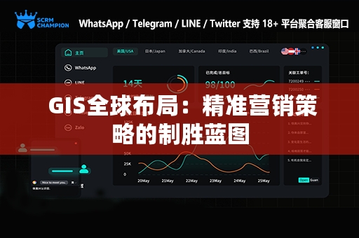  GIS全球布局：精准营销策略的制胜蓝图