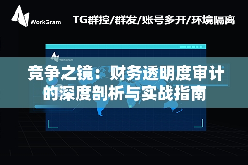  竞争之镜：财务透明度审计的深度剖析与实战指南