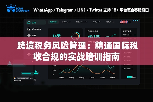  跨境税务风险管理：精通国际税收合规的实战培训指南