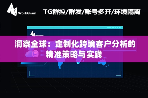  洞察全球：定制化跨境客户分析的精准策略与实践