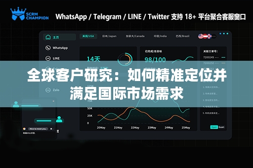 全球客户研究：如何精准定位并满足国际市场需求